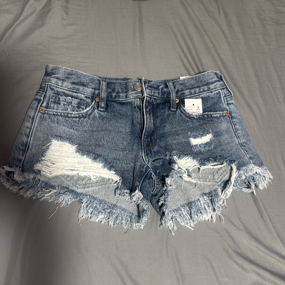 Pacsun Low Rise Shorts
